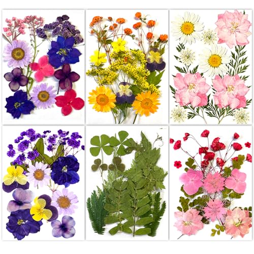 6 Packs Dried Pressed Flowers for Resin Crafts Real Nature Dried Flowers and Leaves Vacuum Sealed Dry Flowers for DIY Jewelry Candle Soap Vase Making Nail Card Scrapbook Art Craft Eternity Summer