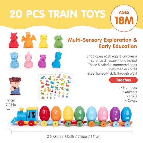 Image of hahaland Montessori Dinosaur Train Set, Learning Toy for Toddlers Ages 2-3