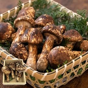 松茸 - Amazon.co.jp