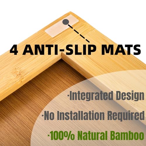 Hiceeden 2 Tier Bamboo Desktop Organizer, Desk Monitor Stand Riser with 1 Drawer and 2 Pen Holder, 2 Compartment Computer Desk Storage Organizer for Laptop, Printer, iMac