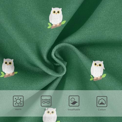 Cute Owl Bird Green Toddler Girls's Underwear 2T 23022363
