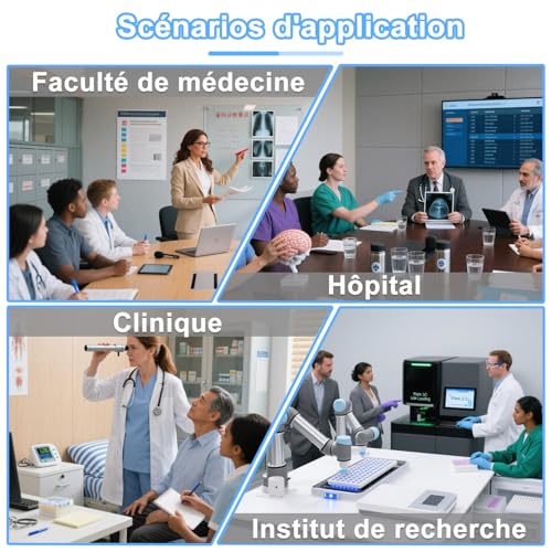 Modèle de ponction mammaire pour s'exercer à la localisation des lésions