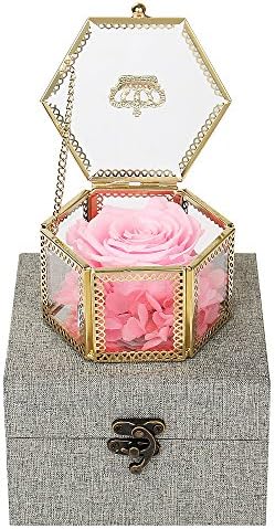 Angel Lover Preserved Flower Rose,Never Withered Roses,Upscale Immortal Flowers,Gifts Women,Her,Girls,Sister, Mother's Day,Valentine's Day,Anniversary,Birthday,Wedding (Y Pink Rose)