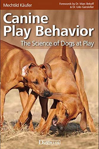 Canine Play Behavior - The Science Of Dogs At Play