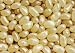 Jelly Belly Champagne Jelly Beans, 1 Pound