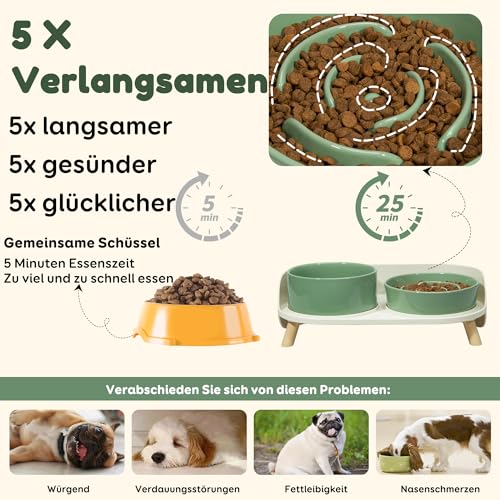 Antischlingnapf Hund Keramik Napfset erhöht - Hundenapf für langsames Fressen - Doppel-Fressnapf für kleine und mittelgroße Hunde - Futternapf & Wassernapf mit rutschfestem Ständer