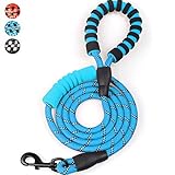 Bringing a Cockapoo Puppy Home (What You Need?) | Cockapoo HQ