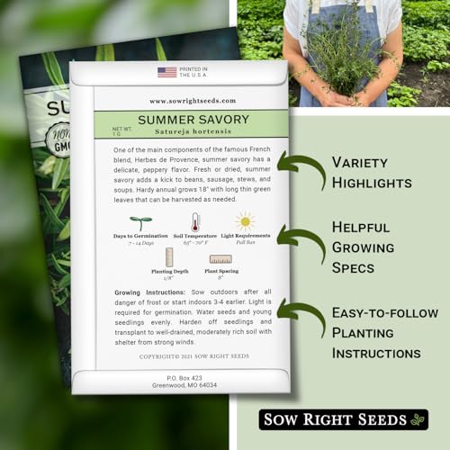 Sow Right Seeds - Summer Savory Seed for Planting - Culinary Herb to Plant in Your Home Herb Garden - Indoors or Outdoors - Peppery Herbal Seasoning - Non-GMO Heirloom Seeds - A Great Gardening Gift - Image 2