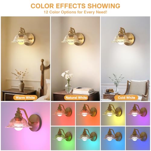 Image of Redluck Battery Operated Wall Sconce with Remote Control, Vintage Amber Glass Wireless Wall sconces Set of Two, Rechargeable Battery Powered Wall Lamp for Bedside Bedroom Living Room Hallway Decor