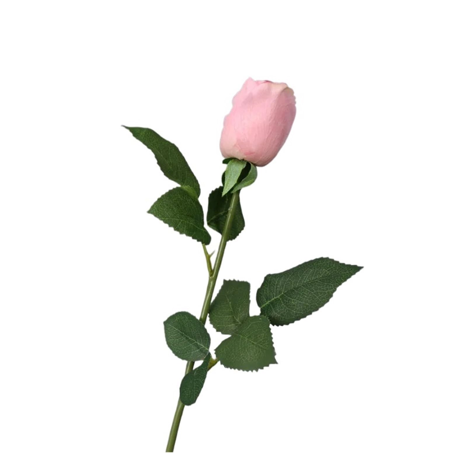 Casetlong 10Pcs Wedding Decor Artificial Flowers Holding Bouquet Home Party Flower Arrangement(Dark pink)