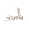 Axis Scientific Right Foot Skeleton with Ankle Featuring Elastic Articulation for Medical Education Study Anatomical Bones in The Classroom, Scientific Anatomy Model, Demonstration Skill