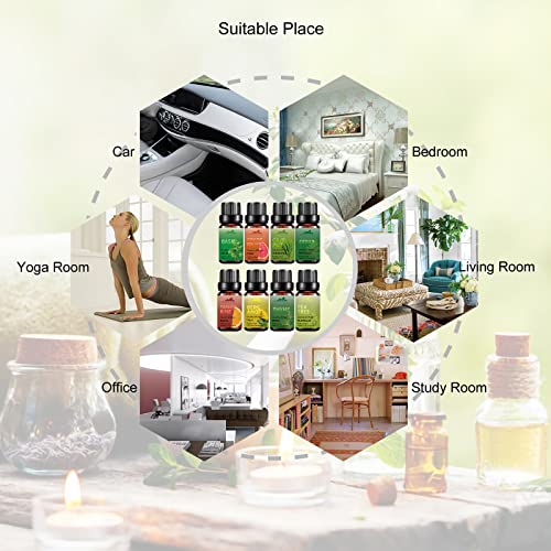 Essential Oils Set Mumianhua Pure Essential Oil Starter Kit For Diffuser, Skin, Candle Making(Basil Oil, Grapefruit, Cajeput, Cedarwood Oil, Tangerine, Bergamot Oil, Thyme Oil, Tea Tree Oil) 8X10Ml #TOP4