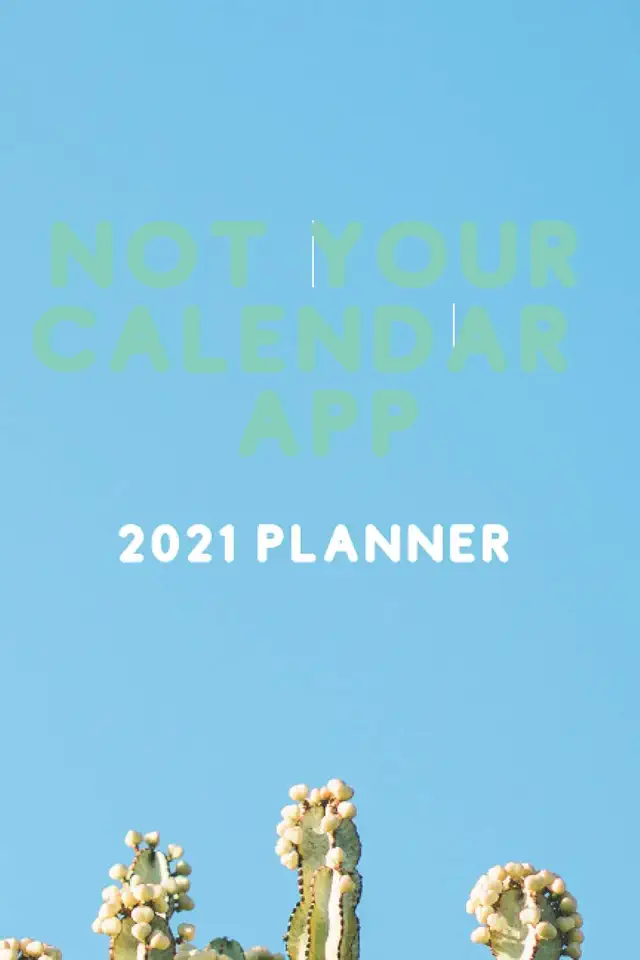Not your calendar app 2021 planner: 12 months, daily calendar, notes, priorities, 366 pages