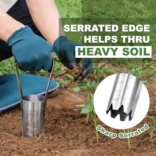 Haliaeetus Bulb Planter Tool