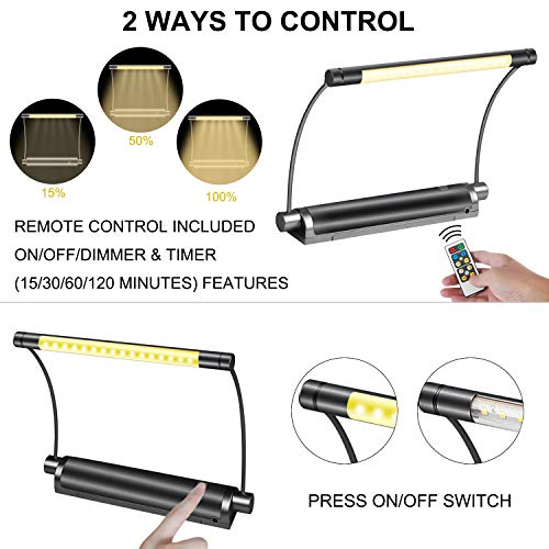 LUXSWAY Picture Light Battery Powered, Wireless Remote Control Painting Light, 300° Rotatable Light Head Art Display Light, Timer Auto Off, 3 Modes Dimmable Over Lighting for Picture Artwork Mirror