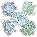 Schoolgirl Style Simply Stylish 36-Piece Succulent Plant Bulletin Board Cutouts, Botanical Succulents Classroom Cutouts for Bulletin Board, White Board, Cork Board, Classroom Labels & Classroom Décor