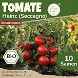 Little Plants BIO Tomaten Samen 10 Tomatensamen Heinz (Seccagno) Gemüsesamen für Gemüsegarten Samenfest Gemüse Samen für Küche, Balkon und Garten