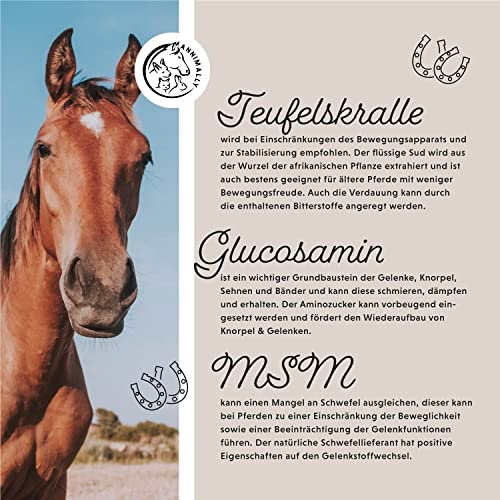 Annimally Gelenk Liquid für Pferde 1000ml mit Teufelskralle, Glucosamin und MSM (Schwefel) flüssig - Für die Stärkung der Gelenke beim Pferd - Alternative zu Pulver