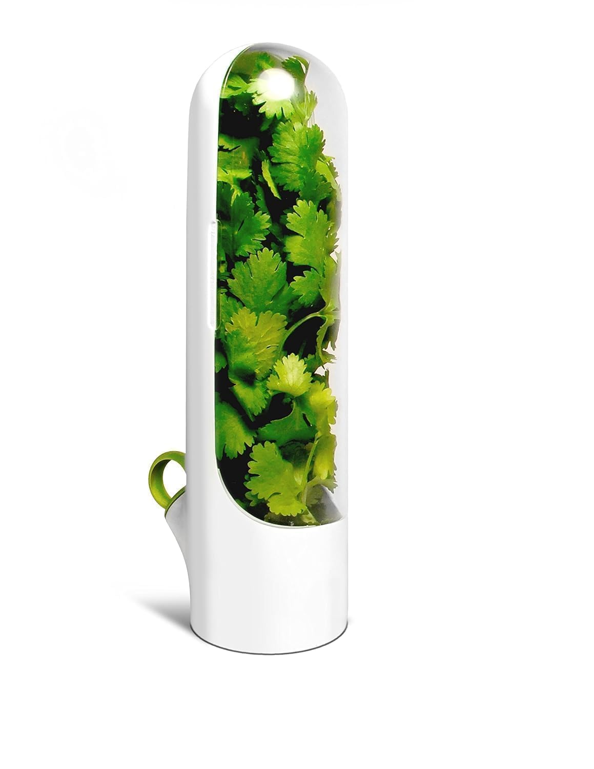 SWASTIKAM CREATION Herb Saver Pod for Fridge | Herb Storage Containers to Keep Greens Fresh Longer | Ideal for Coriander, Mint, Parsley, Cilantro & More (PACK OF 1)