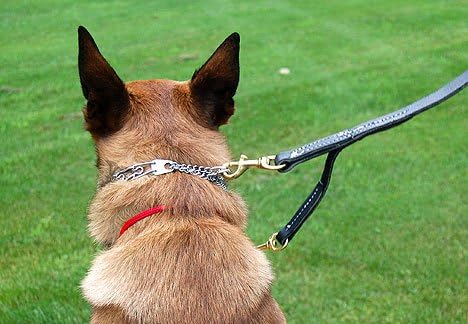 prong collar leash adapter