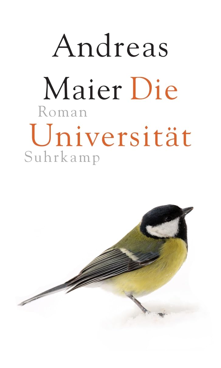 Die Universität - Roman (Ortsumgehung 6)