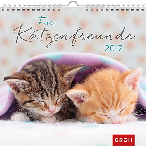Für Katzenfreunde 2017: Wandkalender