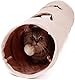 Purpurra Katzentunnel extralang faltbar Katzenspielzeug Rascheltunnel Spieltunnel 116cm mit 4 Eingängen und Spielball (Beige)