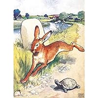 Karnet B6 z koperta The Hare and the Tortoise: KSB 347899