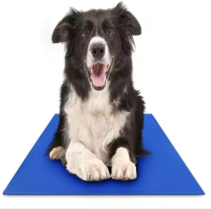 Tapete Gelado para Cachorros Conforto e Refresco para Seu Pet - Peting Is Caring (45x50)