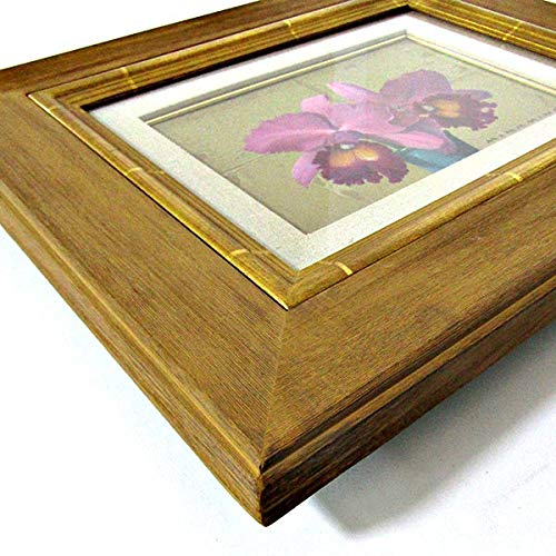 Amazon.co.jp: 南田昌康『カトレア(SM号)』油彩画 静物画 花鳥画 植物