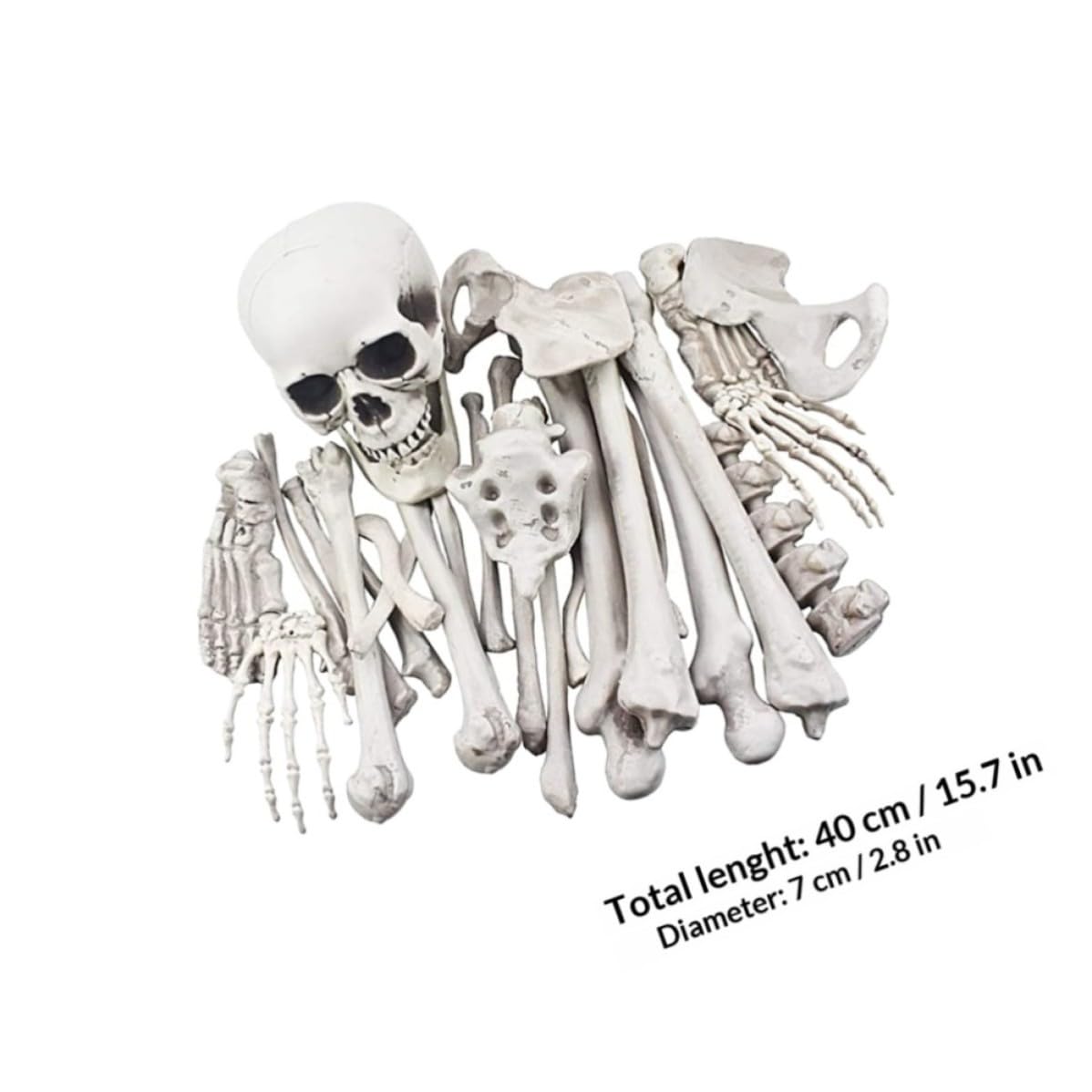 Decorazione di Halloween Ossa Scheletro in Plastica Bianco Realistico per Decorazioni Casa e Festa di Halloween per Ambienti Esterni e Party