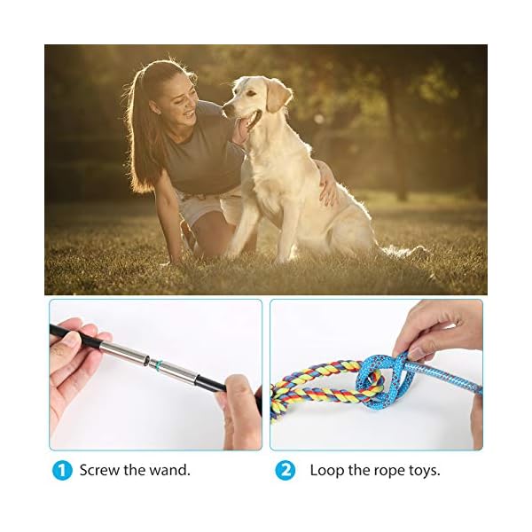 Interactive Dog Exercise Toy