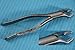 German EXTRACTING Forceps NO 10S Dental Surgical Instruments Extraction Forceps