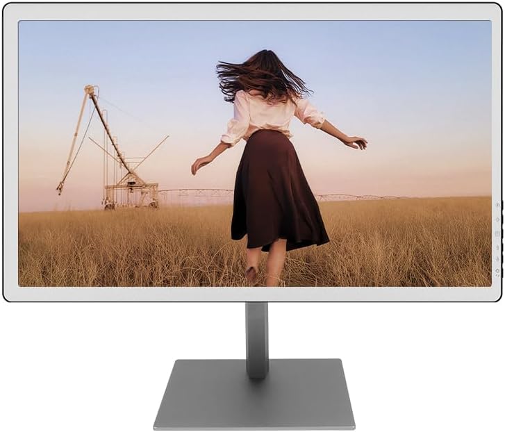 ముందు view of the Bigme B251 Epaper Color Monitor on its stand.