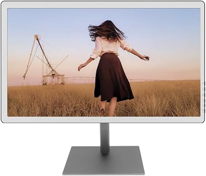 Bigme B251 Epaper Color Monitor 25.3 Inch Screen