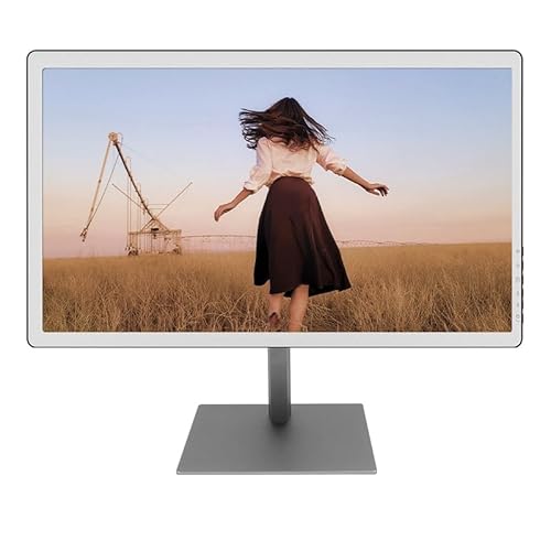 Bigme B251 Epaper Color Monitor 25.3 Inch Screen