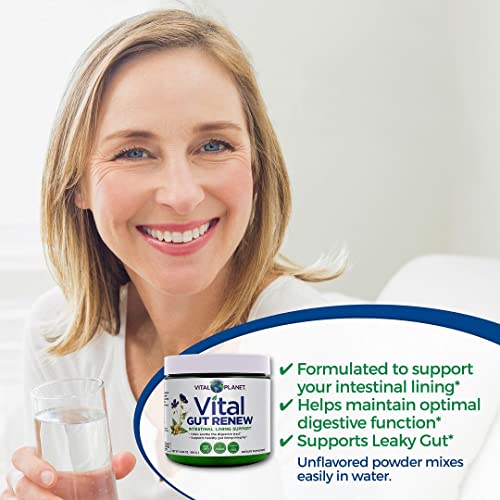 Vital Planet - Vital Gut Renew Powder Supplement Formulated With L-Glutamine, Ginger Root, Licorice Root And Organic Aloe Vera To Assist With Intestinal Lining And Leaky Gut Repair, 6000Mg 6.88 Oz #TOP2