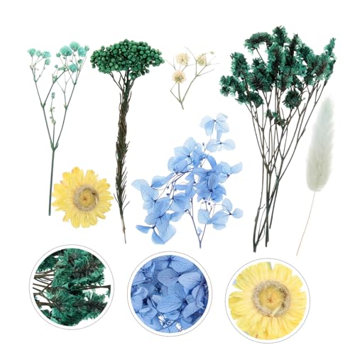 Flores prensadas secas para manualidades y decoración miniatura 3