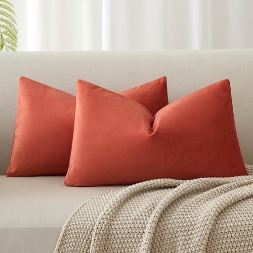 Image of JUSPURBET Velvet Pillow Covers Set of 2 Decorative Throw Pillow Covers for Couch Sofa Bed Soft Lumbar Cushion Covers with Hidden Zipper for Living Room Home Decor,Apricot,14x24 inch