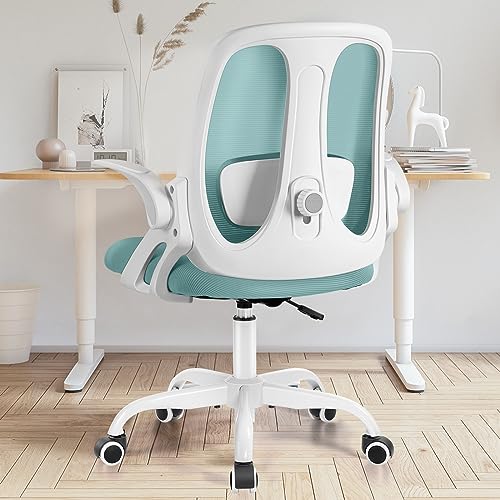 Razzor Office Chair, Ergonomic Computer Desk Chair with 2D Lumbar Support and...