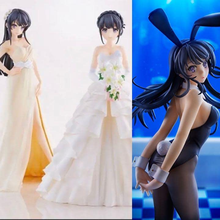 Amazon | 青春ブタ野郎はバニーガール先輩の夢を見ない 青ブタシリーズ 