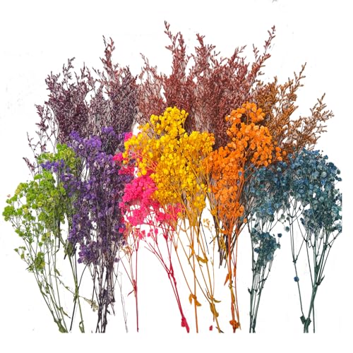 Ramo de flores secas naturales multicolor de 17.7 pulgadas miniatura 1