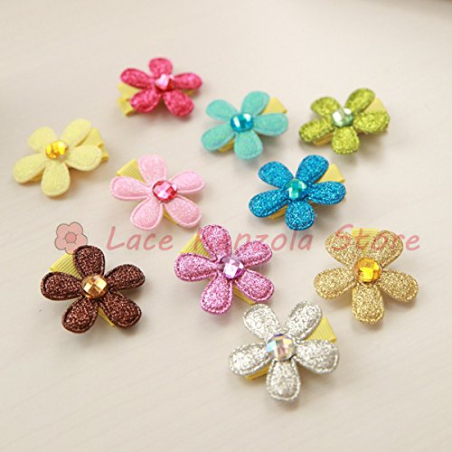 Lace Kenzola 10pc Toddler Little Floral Theme Hair Barrettes Set
