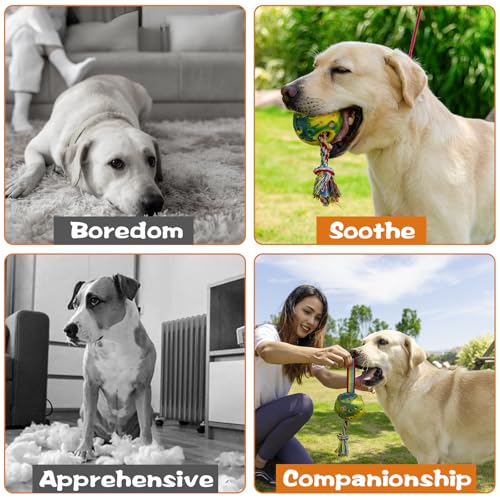 Senior Budday Dog Puzzle Toy,Treat Dispensing Dog Toys,Chew Toys With Frozen Mold,Interactive Dog Toys With Rope Knot,Anxiety Relief,Easy To Clean thumb #2