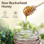 ONEROOT Canadian Raw Buckwheat Honey | Harvested in Canada | Raw Honey Unpasteurized - Higher in Antioxidants Than Manuka | 100% Pure & Certified Kosher (500g)