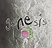 Produktbild Genesis - The Movie Box [5 DVDs]
