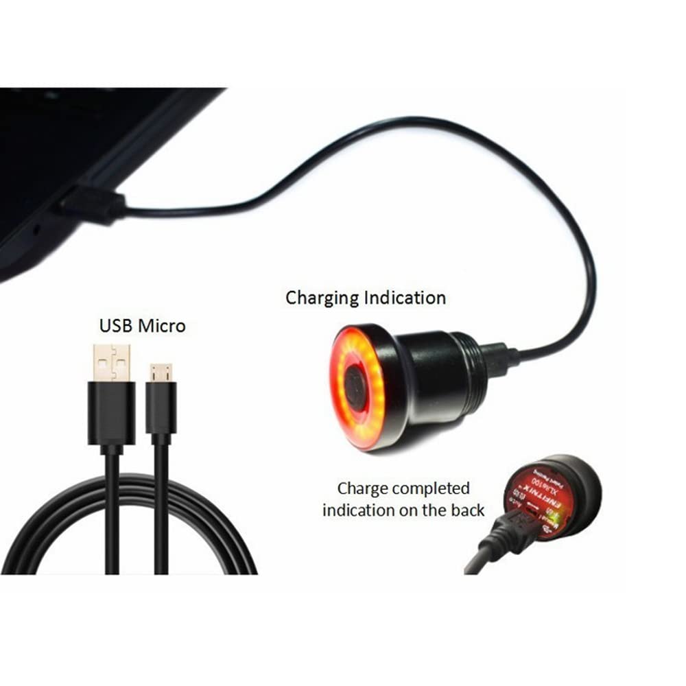 Luce Posteriore a LED per Bicicletta, Torcia per Avvio/Arresto Automatico, sensore di frenata, Impermeabile IPX6, Ricarica USB, Luce Posteriore