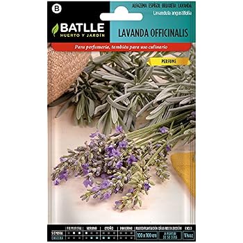 Semillas Aromáticas - Romero - Batlle: Amazon.es: Jardín