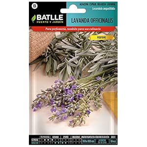 Batlle kruidenzaden – Lavendel Officinalis (zaden – 40cm)
