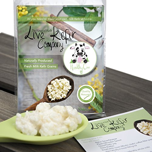 Leche en vivo para kéfir – Nuestros granos de kefir son de la más alta calidad. 5 gr